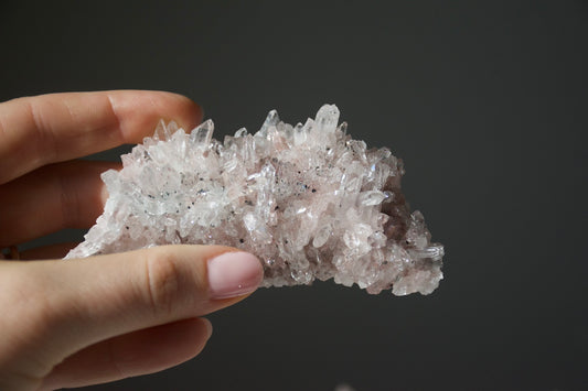 Sacred Pink Lemurian
