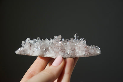 Sacred Pink Lemurian