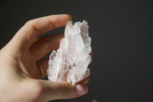 Sacred Pink Lemurian