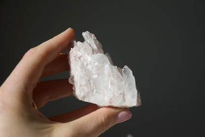 Sacred Pink Lemurian