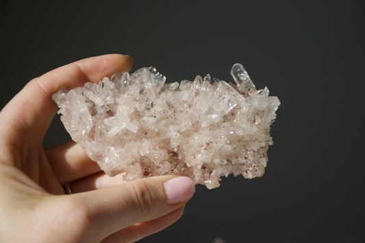 Sacred Pink Lemurian
