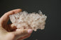 Sacred Pink Lemurian