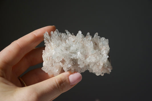 Sacred Pink Lemurian