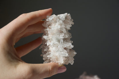 Sacred Pink Lemurian