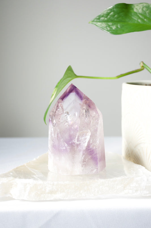 Bahia Amethyst Generator (large)