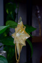Golden Healer Quartz North Star