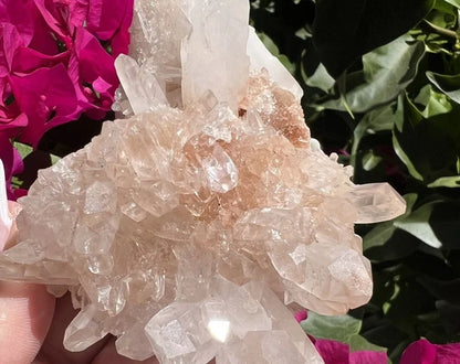 Pink Samadhi Himalayan Quartz