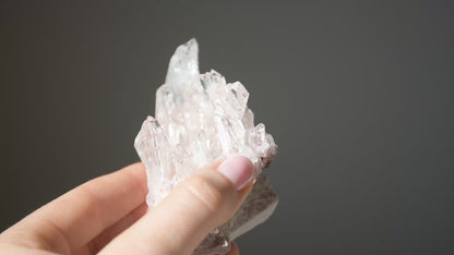 Sacred Pink Lemurian