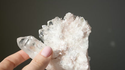 Sacred Pink Lemurian