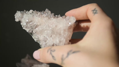 Sacred Pink Lemurian